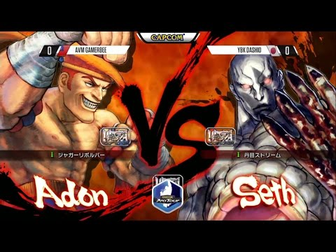 USFIV: AVM Gamerbee vs YBK Dashio - TGS 2015 Top 8 - CPT 2015