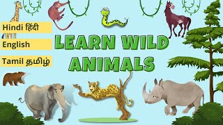 Wild Animals Hindi Eng Watch HD Mp4 Videos Download Free Wild Animals Hindi Eng Watch HD Mp4 Videos Download Free