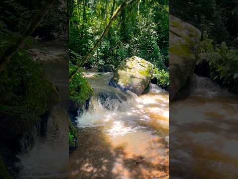 Águas da Prata Waterfall 🌿