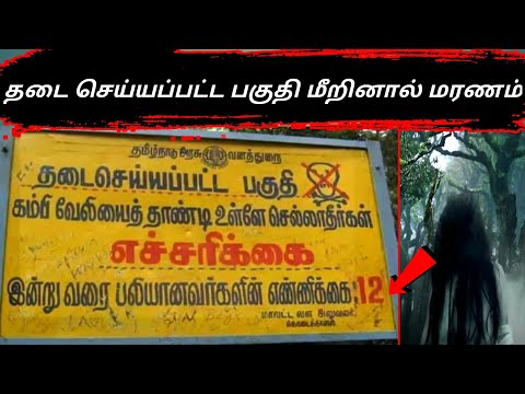 சாவ நேருல பாக்கணுமா இங்க..😱🔥 வாங்க மதிகெட்டான் சோலை | #Shorts #TamilShorts