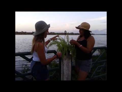 PteridofiTas- Paródia