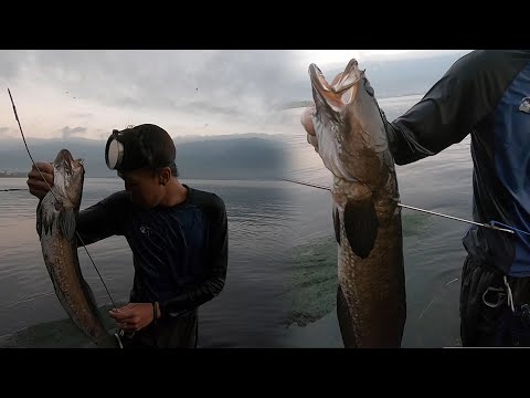 SE02EP15  P1 - JACKPOT : Parang Nag-Harvest sa DAMI ng HULI sa Batangas | MAMAW na DALAG