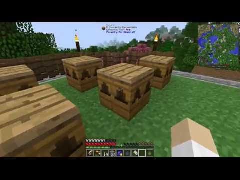 Infinity Evolved Expert Mode - Ep. 16 - Starting Bees
