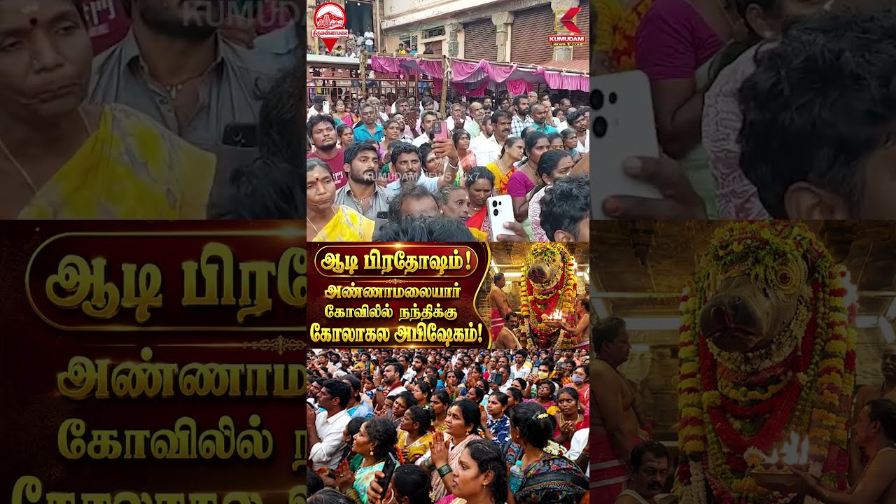 (ஆடி பிரதோஷம்!)அண்ணாமலையார் கோவிலில் நந்திக்கு கோலாகல அபிஷேகம்! | Aadi Pradosham | Kumudam News
