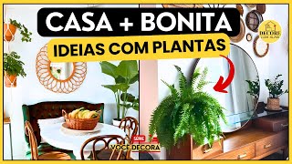 Ideias geniais! Decoração com plantas dentro de casa | VOCE DECORA EP.8