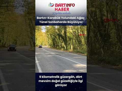🍂 Bartın-Karabük Yolunda Sonbahar Büyüsü! 🍁