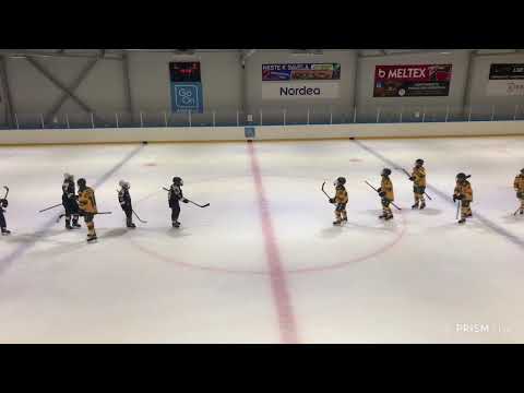 JYP U13 (2011), PELITÄLLIT, pe 29.3.2024 klo 15:30, Buugi 1, JYP Valkoinen - Ilves Colorado (AA)