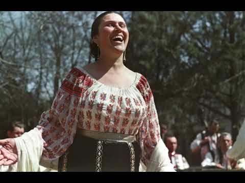 Tamara Ciobanu - Firicel de floare rară (1973)