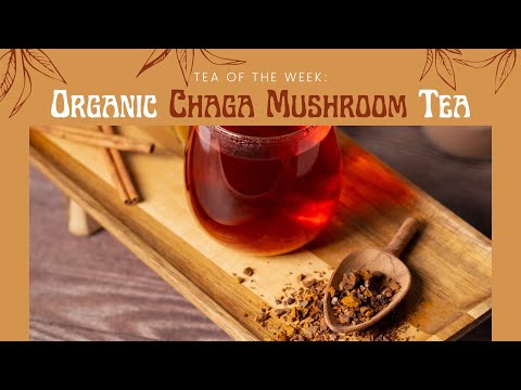 Organic Chaga Mushroom Tea 🍄  | Tea of the Week