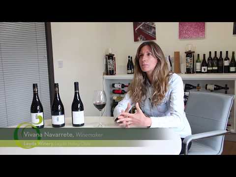 Leyda Winery Story with Winemaker Vivana Navarrete