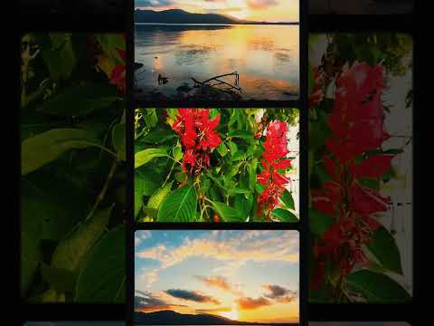 A Film Reel of the Natural Beauty of Izabal & Peten with NO sound