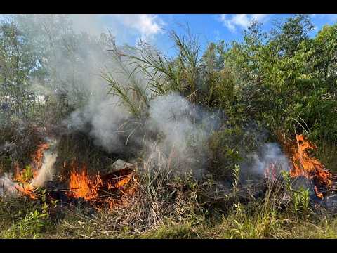 Incendios forestales en Pasco dañaron más de 50 hectáreas
