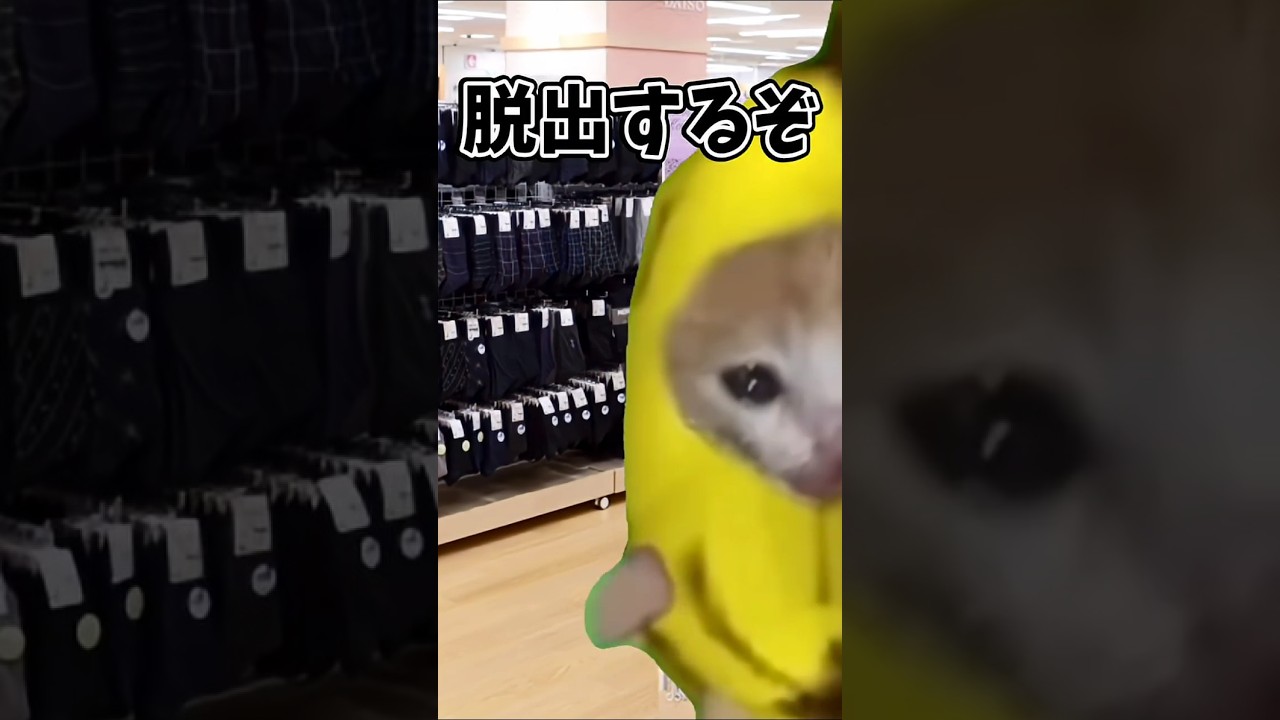 【倍速別】蛍の光が流れた時の反応の違い（音源お借りしました）