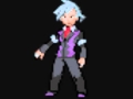 Pokémon R S E Music Champion Steven S Theme