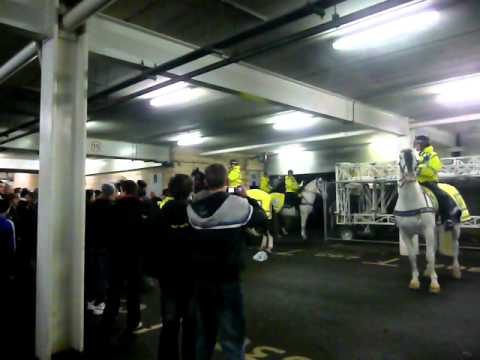 Newcastle united vs. Liverpool 11.12.2010 / FANS