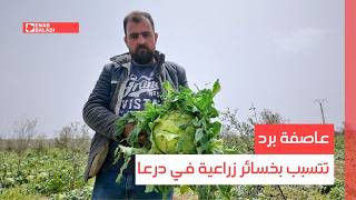 عاصفة برد تتسبب بخسائر زراعية في درعا