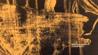 Obsidian Kingdom - TORN & BURNT - Fingers in Anguish (Jr Morgue Remix)