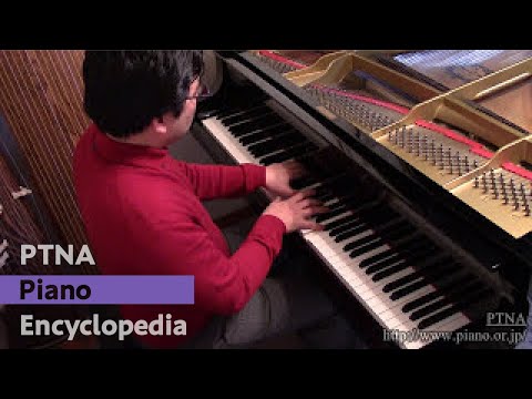 Schumann : Warum? Op.12-3  Rintaro Akamatsu (pf)