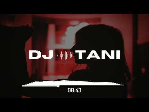 dj tani, Sanduú & Levis Della - Ain´t Nobody [Official Visualizer]