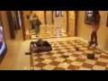 Two Female Socialites Fighting For A Man At Kempinski Nairobi