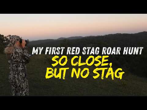 Hearing Red Stags Roar for the First Time — Our 2026 Rut Hunt Begins