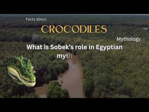 Crocodile Fact 15 - What is Sobek’s role in Egyptian mythology?