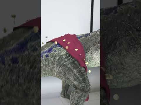 Dinosaur Belly Dance | Something is wrong with Blue 😁