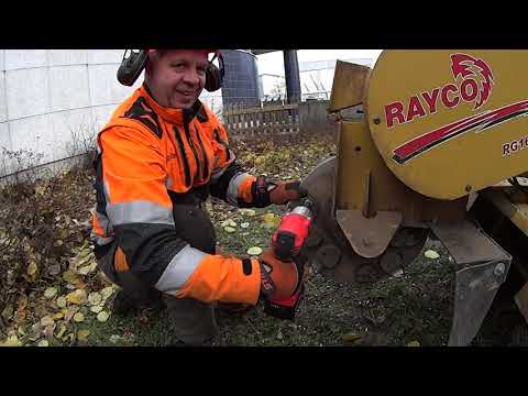 Melkein pelkkää Hardcore  -puunkaatoa