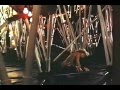 Луна-парк 