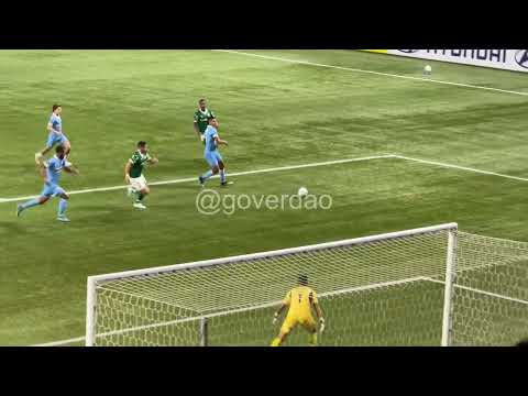 A emoção do 1o GOL do PAULINHO pelo PALMEIRAS visto da torcida!