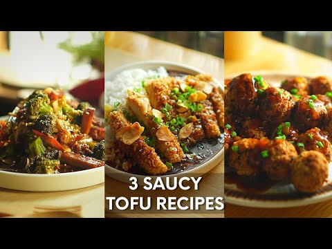3 Saucy and Savory Tofu Recipes | Vegan and Vegetarian Tofu Recipes