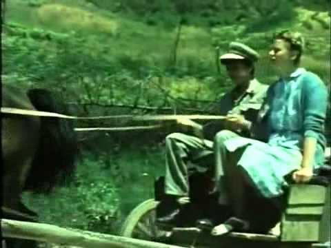 Ovo Malo Duse - Senada se vraca