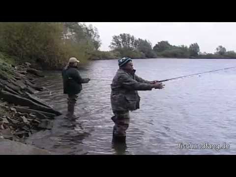 Roland Lorkowski - Jiggen in Perfektion