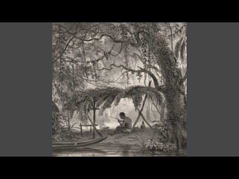 70 Anos Passei no Pé da Jurema