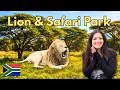 This Lion Safari Park Was Not What I Thought