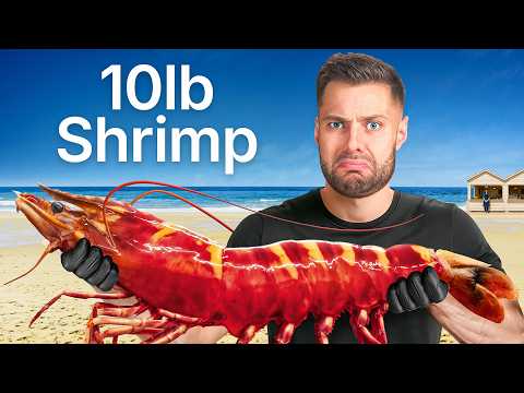 I Cooked Every EXOTIC Shrimp