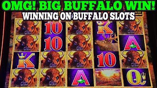 OMG! BIG BUFFALO LINE HIT ON BUFFALO LINK SLOT | BUFFALO GOLD CASH SLOT & BUFFALO GOLD SLOT WINS