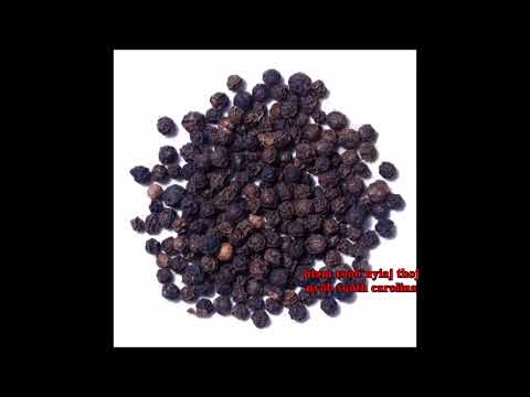 Qhia Hauv Tshuaj Zoo Mob Ntsws tiag tiag  12/22/2022