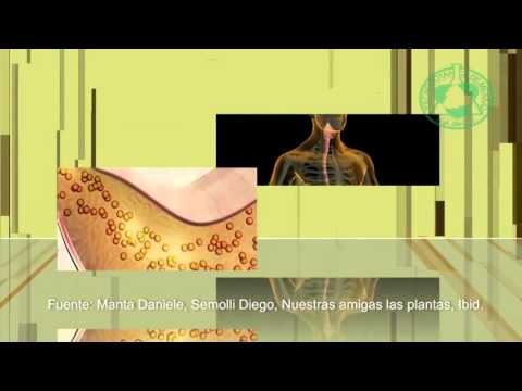 Read Timbang Pagkawala Forum Video sa kung paano upang linisin ang mga gilid ng ang tao