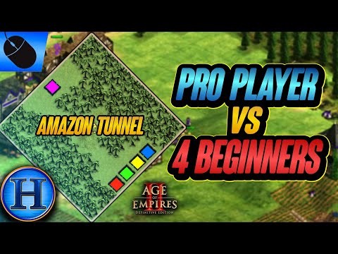 Professional Player vs 4 Beginners On AMAZON TUNNEL | AoE2