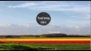 Vicetone ft. Daniel Gidlund - Chasing Time