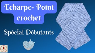 ECHARPE au CROCHET - POINT FACILE réversible !