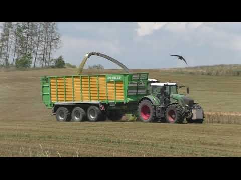 Claas Jaguar 980 Typ 498 mit Direct Disc 610 rast durchs Getreide Roggen GPS Häckseln  & Fendt Vario