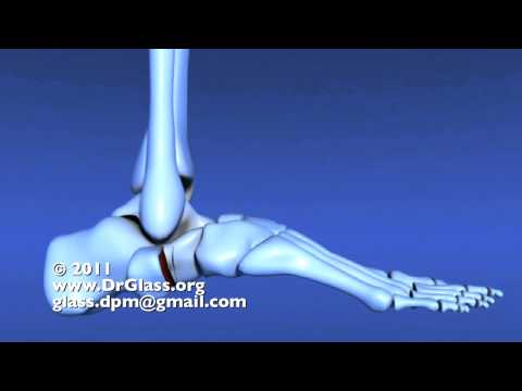 Eruzioni cutanee e mal di collo Cause di osteoartrite