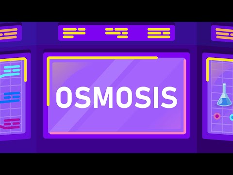 What is Osmosis?