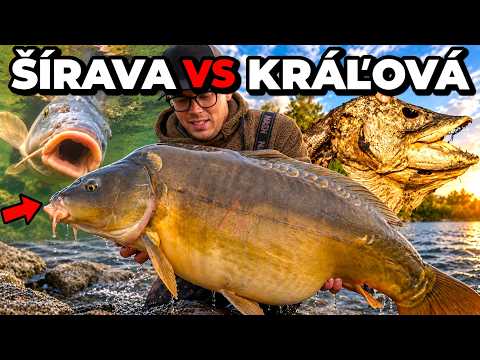 2x Výprava - ŠÍRAVA VS KRÁĽOVÁ 🐋⛺ Lov Kapra na Boilies 😱 Nezdary❌ a Úspechy✔  + sumec