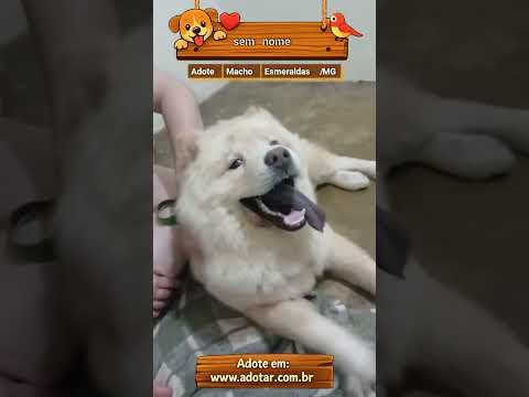 Vídeo de sem nome 