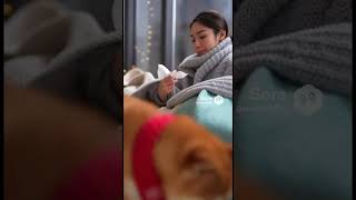 飼い主にプレゼント