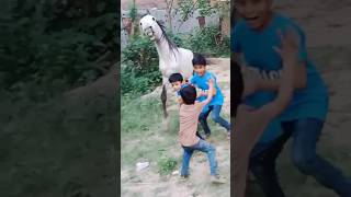 Download lagu Jangli Hours #shorts #shortsfeed #youtubeshorts #vlog mp3