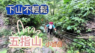 小百岳 五指山 挑戰難走的下山路線 滑倒好幾次很狼狽